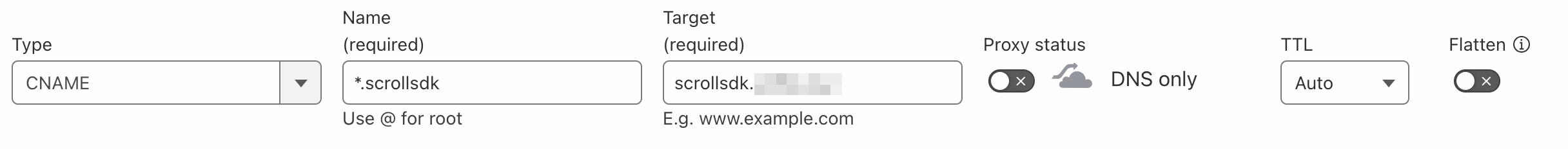 AWS Cloudflare DNS Wildcards